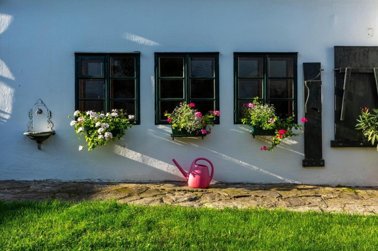 Weissenbacherhof Oslip Экстерьер фото